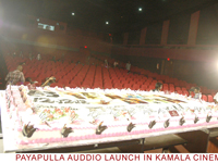 payapullaaudio